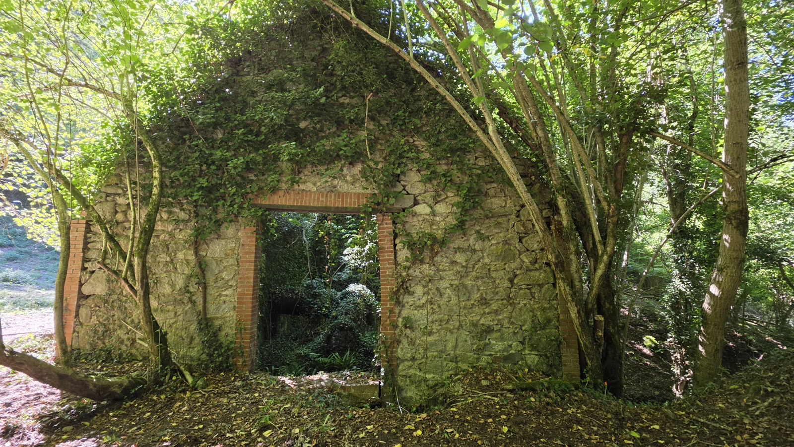 Stone walls in the woods