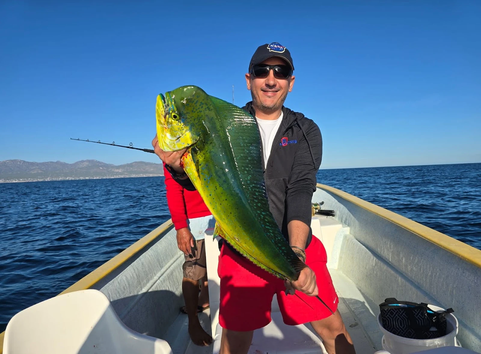 Chango y dorado — de la carretera al mar, siempre cazando algo.